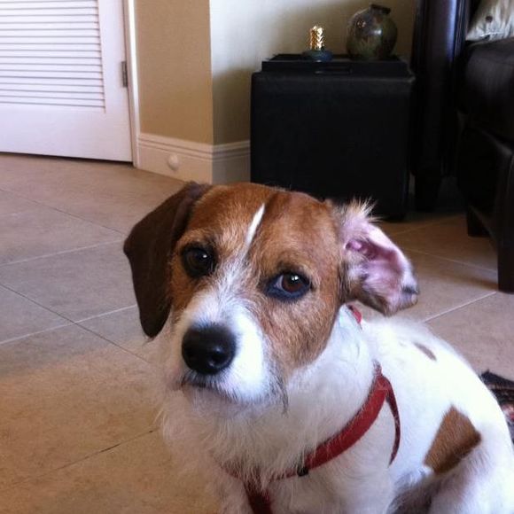 Meet your Posher, Paula - Picture 1 of 1